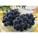 Yamanashi Pione(Grape)