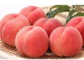 Yamanashi White Peach16
