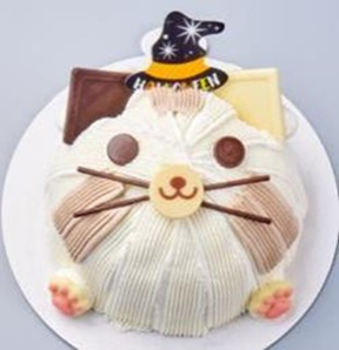 Halloween Magical Cat Cake 16cm