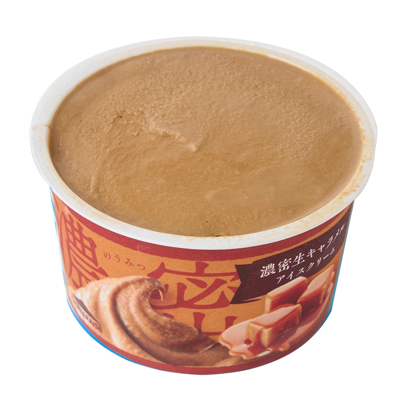 Rich Soft Caramel Ice Cream