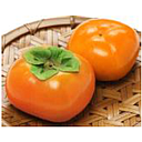 [H878] Japanese Persimmon