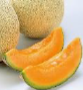 [HZ3] Japanese Cantaloupe 8kg
