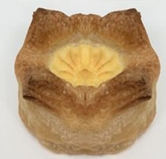 [A873] Fruit Danish B